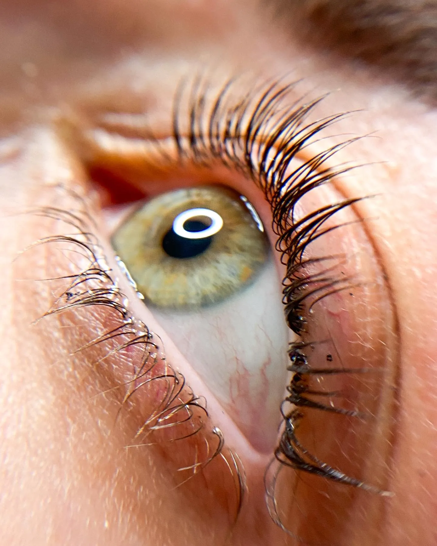 Brow lamination